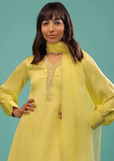 Lime Yellow Bemberg Silk A Line Suit In Organza