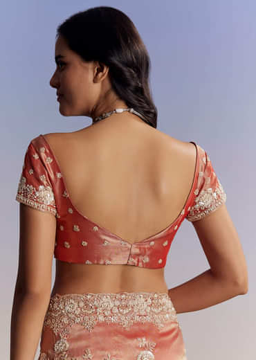 Mauve Tissue Saree With Scallop Border And Bead Embroidery