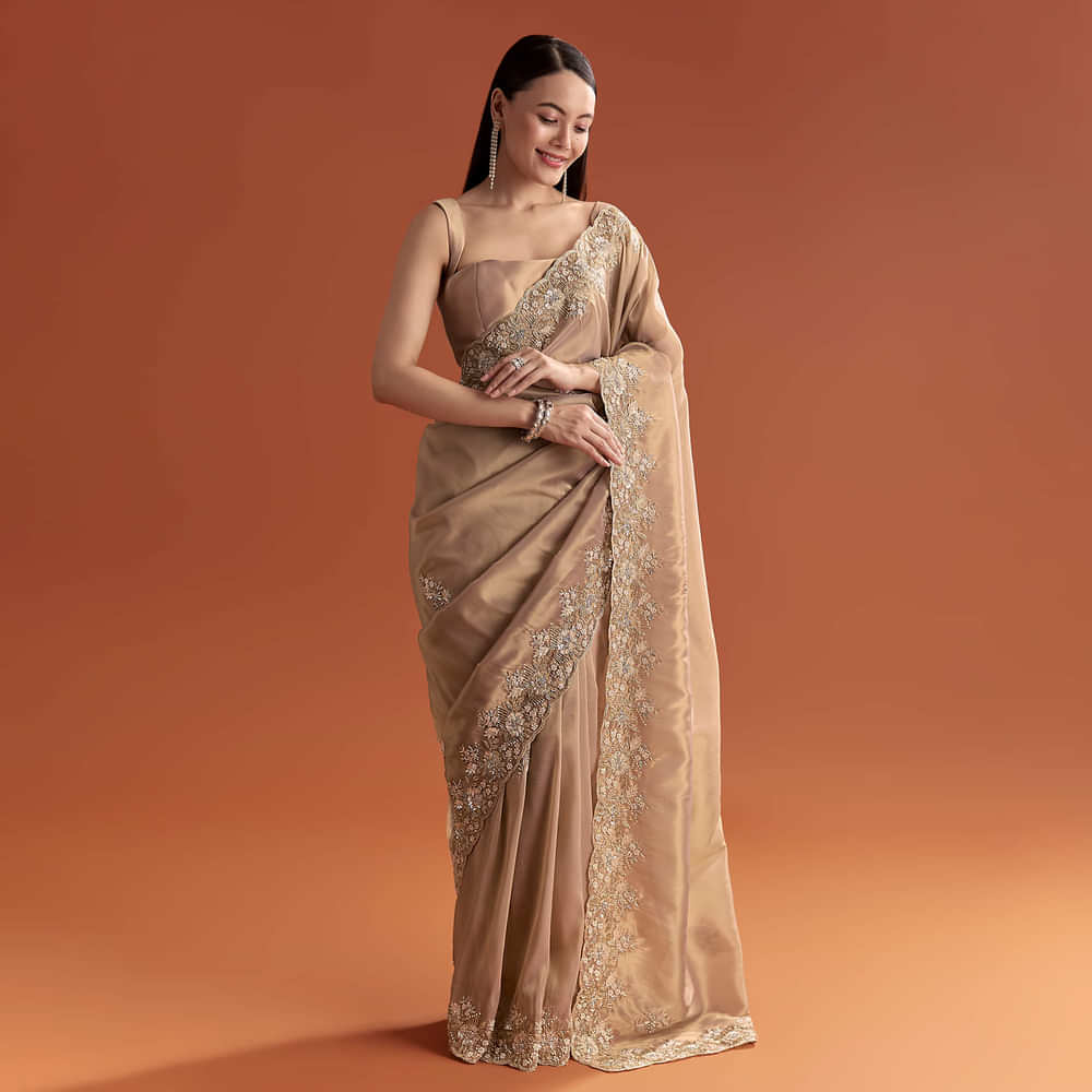 Mauve Tissue Saree With Scallop Border And Stone Embroidery