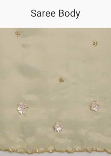 Mehandi Green Tissue Saree With Sequin Floral Embroidery