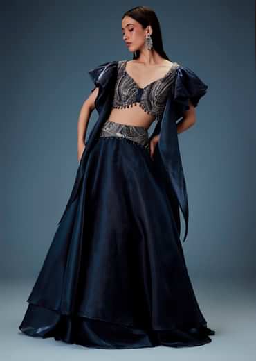 Navy Blue Organza Butterfly Blouse With Skirt