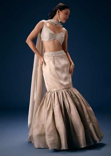 Off White Blouse With Fishcut Lehenga And Choker Dupatta