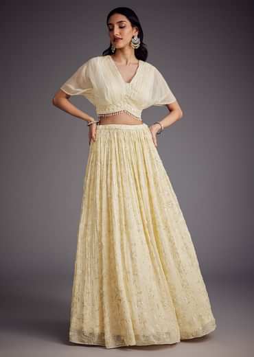 Off White Embroidered Pleated Skirt With Sheer Layered Croptop