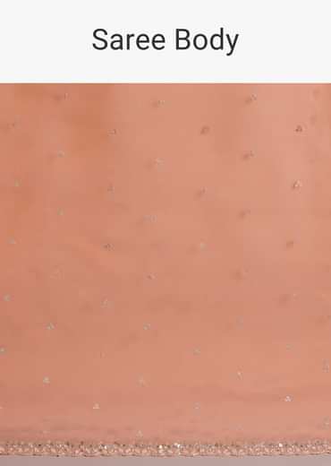 Orange Glass Tissue Saree With Cutdana And Sequins Scallop Border