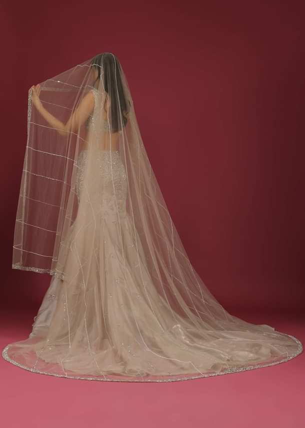 Organza Oyster Mermaid Lehenga With A Stone Motif Veil And Crop Top