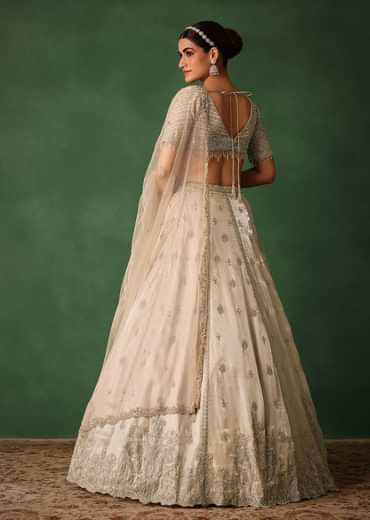 Oyster Hand Embroidered Organza Lehenga Set With Cutdana Work