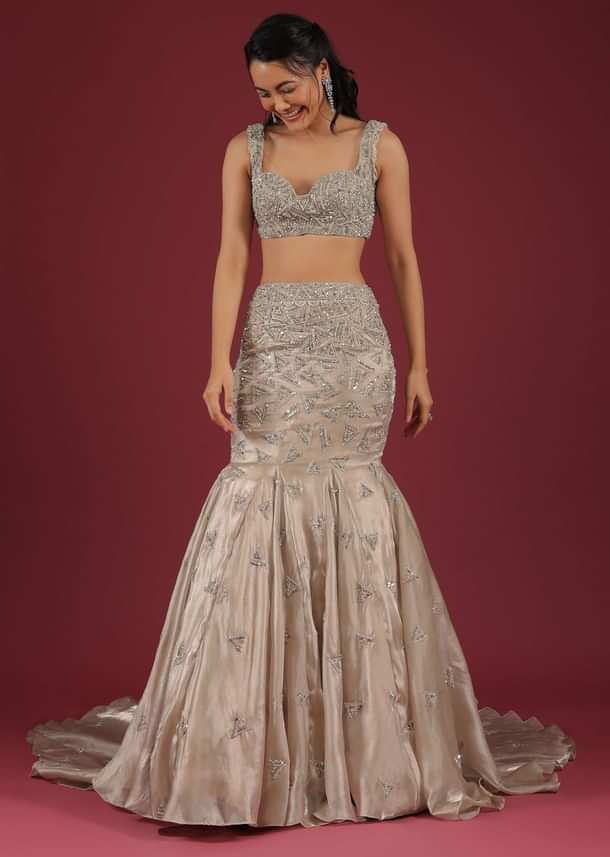 Organza Oyster Mermaid Lehenga With A Stone Motif Veil And Crop Top