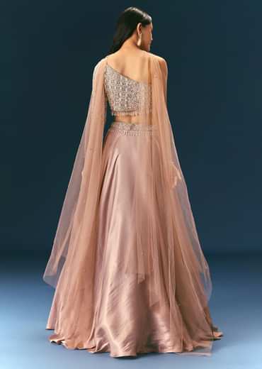 Oyster Organza Embroidered Lehenga Set With Dupatta