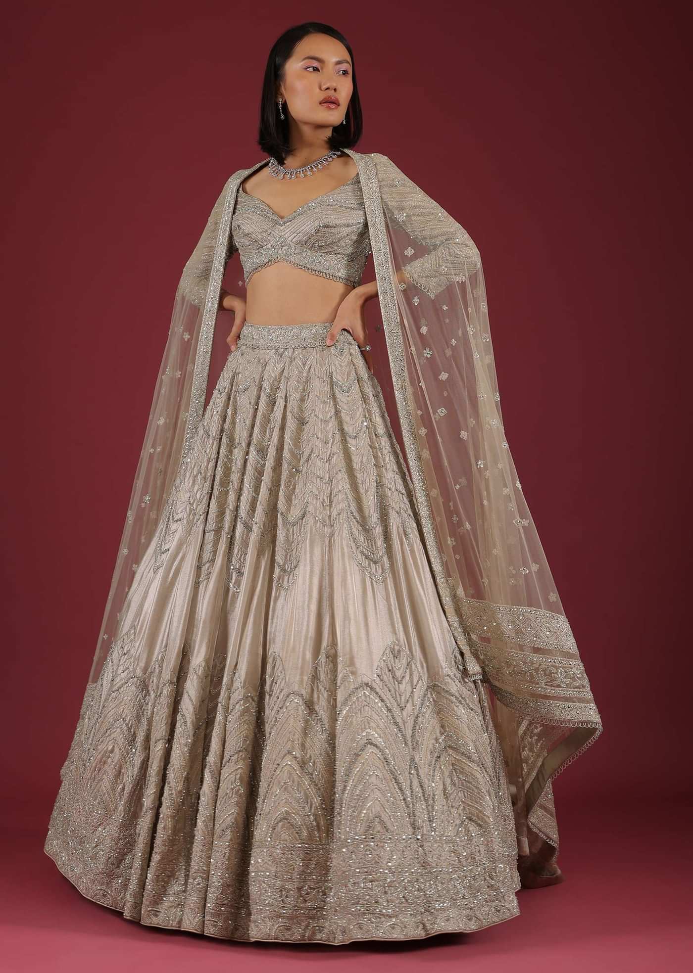 Oyster Organza Lehenga With Cut Dana Embroidery, Crop Top Comes In 3/4Th Sleeves With A Deep V Neckline
