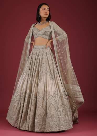 Oyster Organza Lehenga With Cut Dana Embroidery, Crop Top Comes In 3/4Th Sleeves With A Deep V Neckline