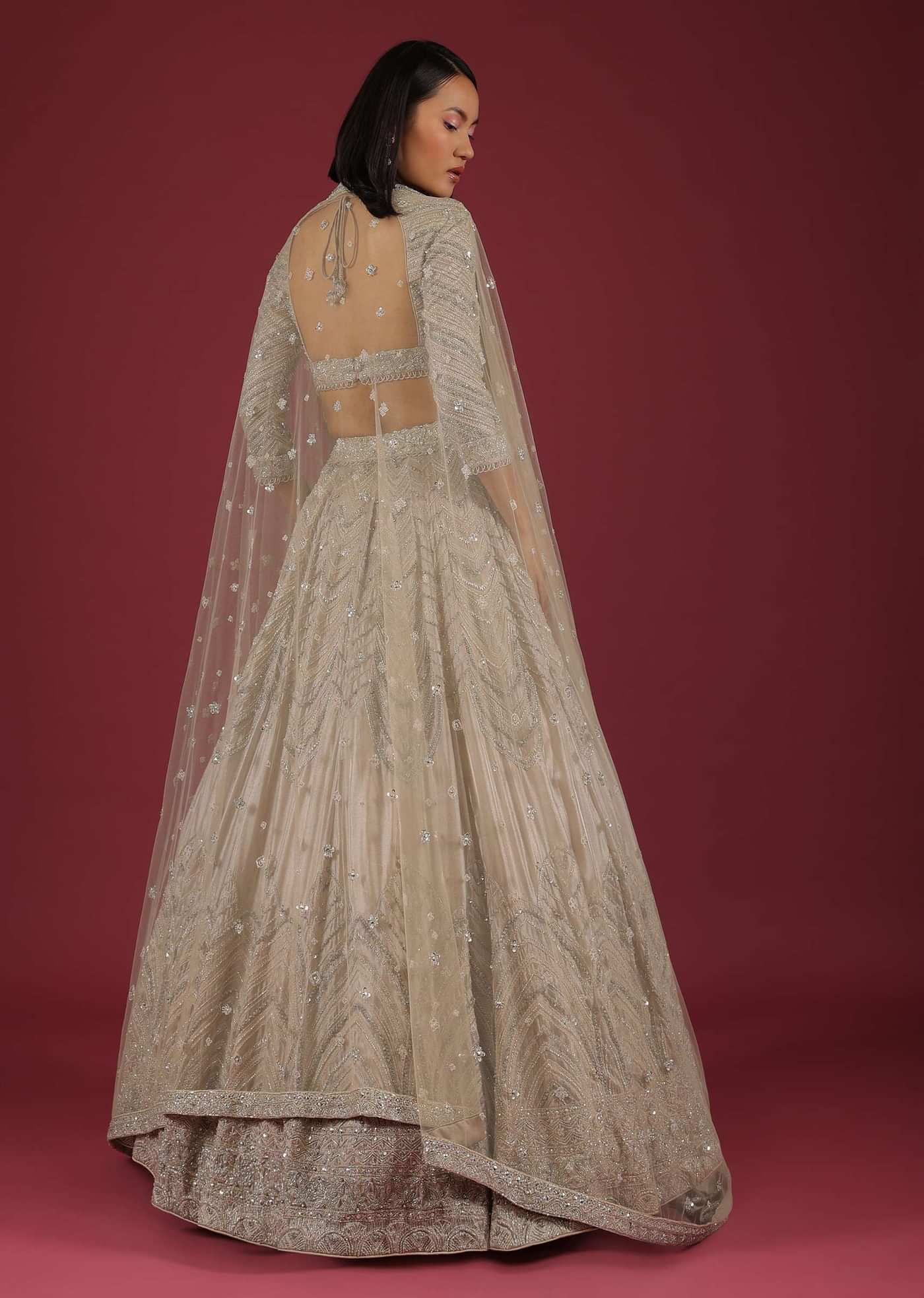 Oyster Organza Lehenga With Cut Dana Embroidery, Crop Top Comes In 3/4Th Sleeves With A Deep V Neckline
