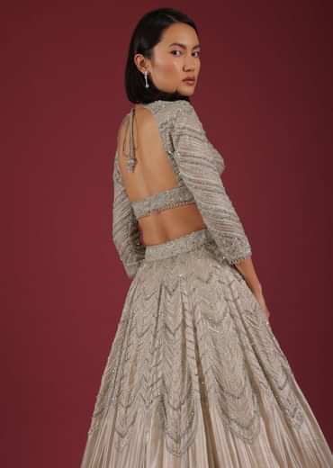 Oyster Organza Lehenga With Cut Dana Embroidery, Crop Top Comes In 3/4Th Sleeves With A Deep V Neckline