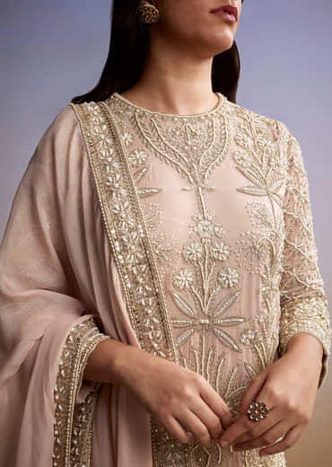 Pastel each Organza Palazzo Suit With Zari and Moti Embroidery