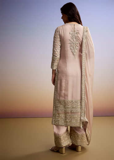 Pastel each Organza Palazzo Suit With Zari and Moti Embroidery