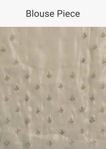 Pastel Green Glass Tissue Saree With Floral Embroidery And Cutwork Border