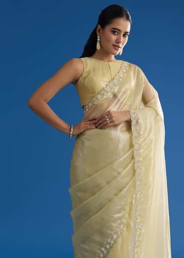 Pastel Green Glass Tissue Saree With Floral Embroidery And Cutwork Border