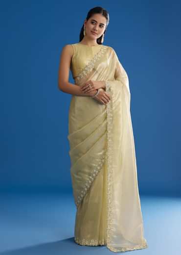 Pastel Green Glass Tissue Saree With Floral Embroidery And Cutwork Border