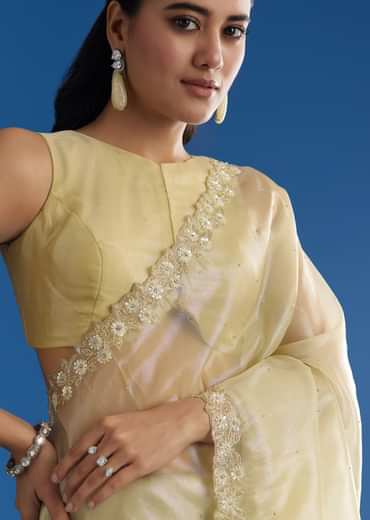 Pastel Green Glass Tissue Saree With Floral Embroidery And Cutwork Border