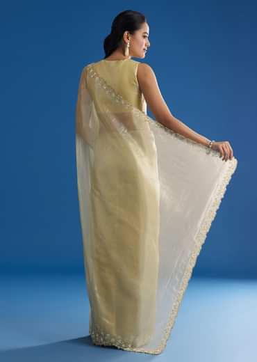 Pastel Green Glass Tissue Saree With Floral Embroidery And Cutwork Border