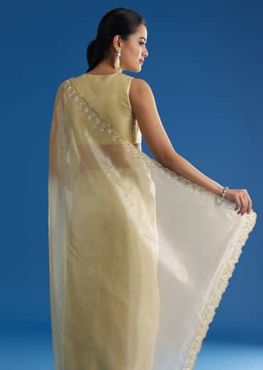 Pastel Green Glass Tissue Saree With Floral Embroidery And Cutwork Border