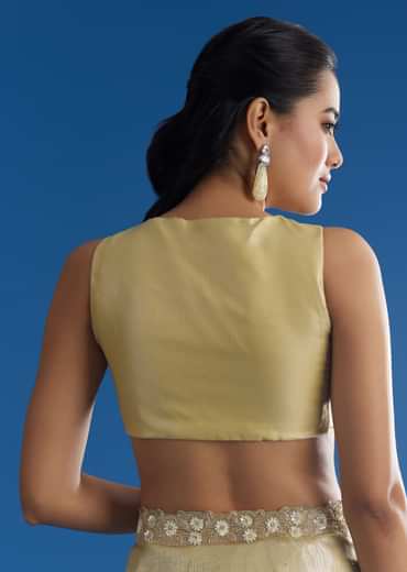 Pastel Green Glass Tissue Saree With Floral Embroidery And Cutwork Border