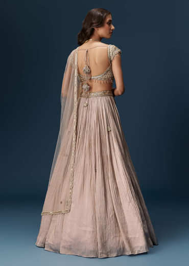 Peach Bridesmaid Lehenga With Embroidered Dupatta And Cap Sleeve Blouse