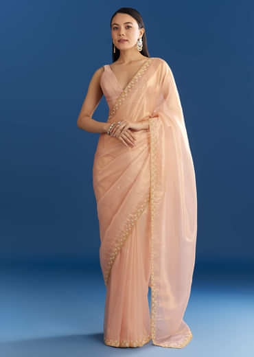 Peach Organza Tissue Saree With Scalloped Embroidery