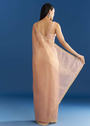 Peach Organza Tissue Saree With Scalloped Embroidery