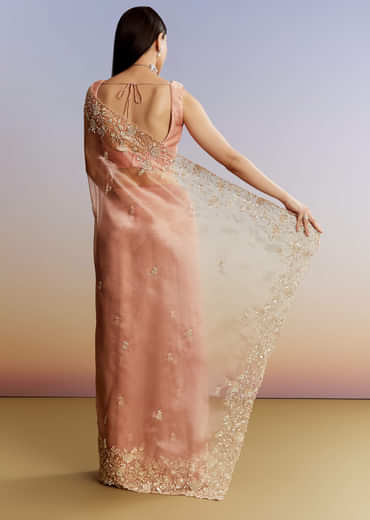 Peach Tissue Saree With Floral Moti And Cutdana Embroidery