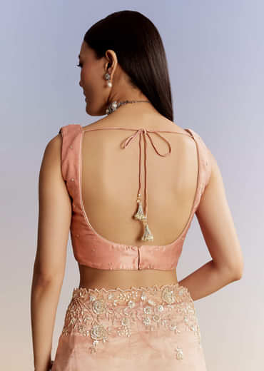 Peach Tissue Saree With Floral Moti And Cutdana Embroidery