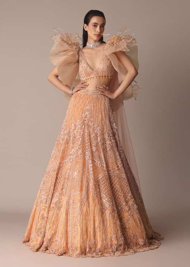 Peach Zardosi Lehenga With Dramatic Net Sleeves Blouse