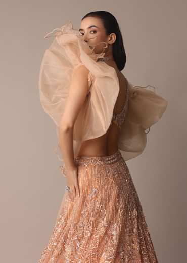 Peach Zardosi Lehenga With Dramatic Net Sleeves Blouse