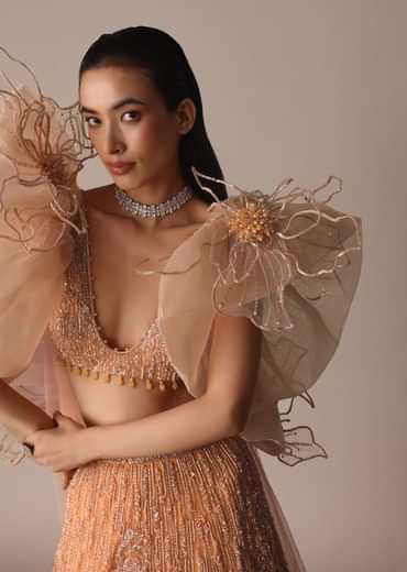 Peach Zardosi Lehenga With Dramatic Net Sleeves Blouse