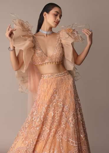 Peach Zardosi Lehenga With Dramatic Net Sleeves Blouse