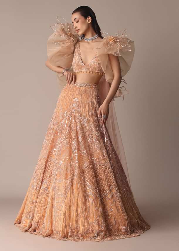 Peach Zardosi Lehenga With Dramatic Net Sleeves Blouse