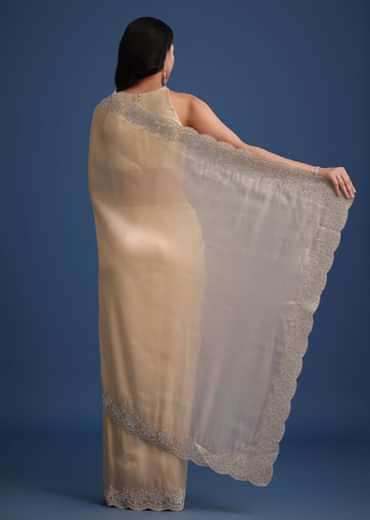 Peach Tissue Saree With Diamonds Embroidered Border