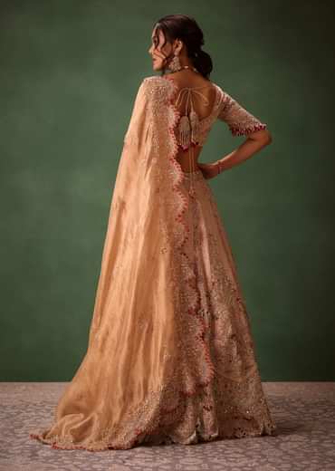 Shraddha Kapoor In Blush Pink Handwoven Banarasi Jewelled Lehenga