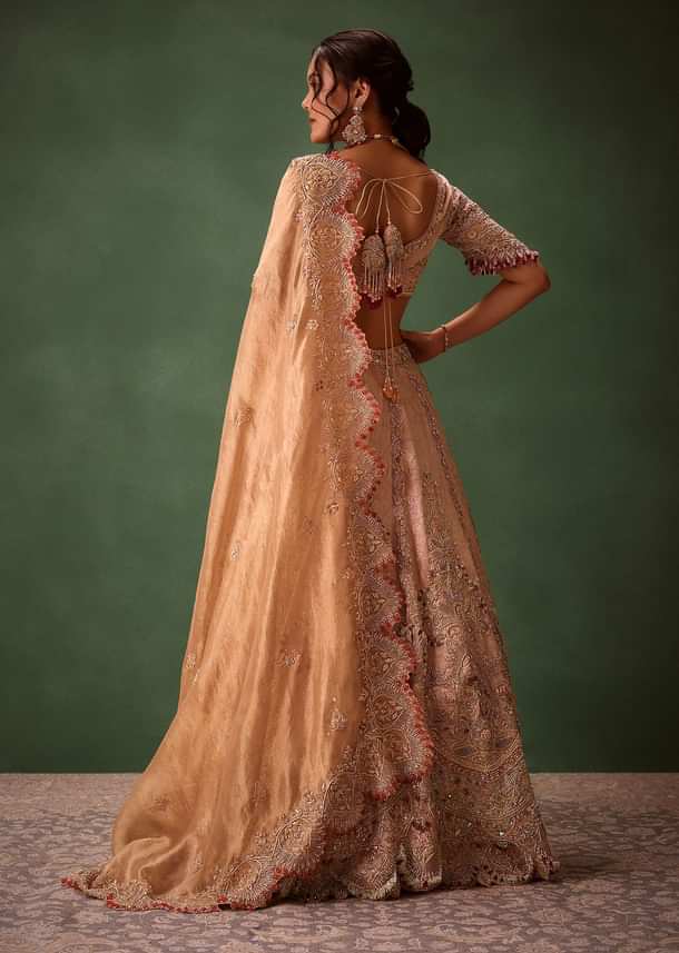 Shraddha Kapoor In Blush Pink Handwoven Banarasi Jewelled Lehenga