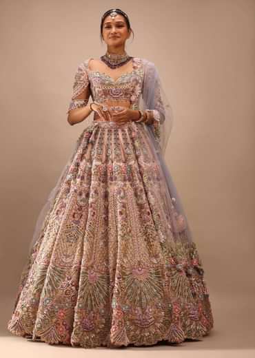 Light Pink Lehenga Set With A Choli In Moti Embroidery, Crop Top Comes In Half Sleeves With Cut Work