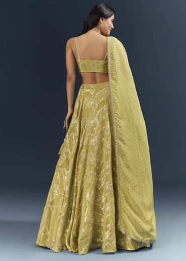 Pista Green Banarasi Silk Bridesmaid Lehenga With Heavy Hand Embroidery