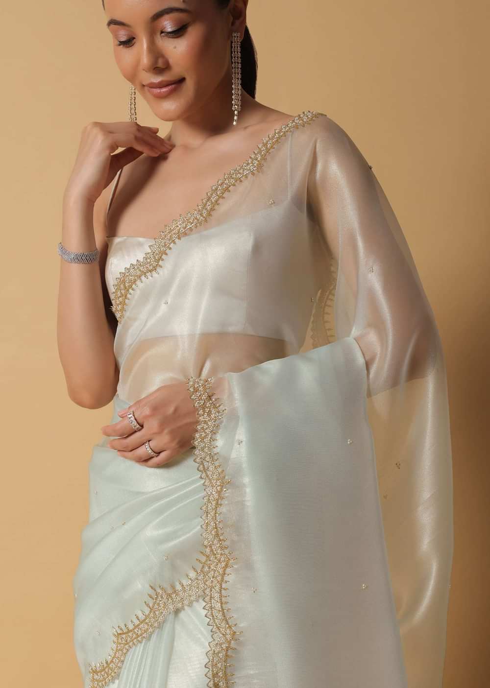 Pista Green Foil Saree In Tissue With Cut Dana Embroidered Borders