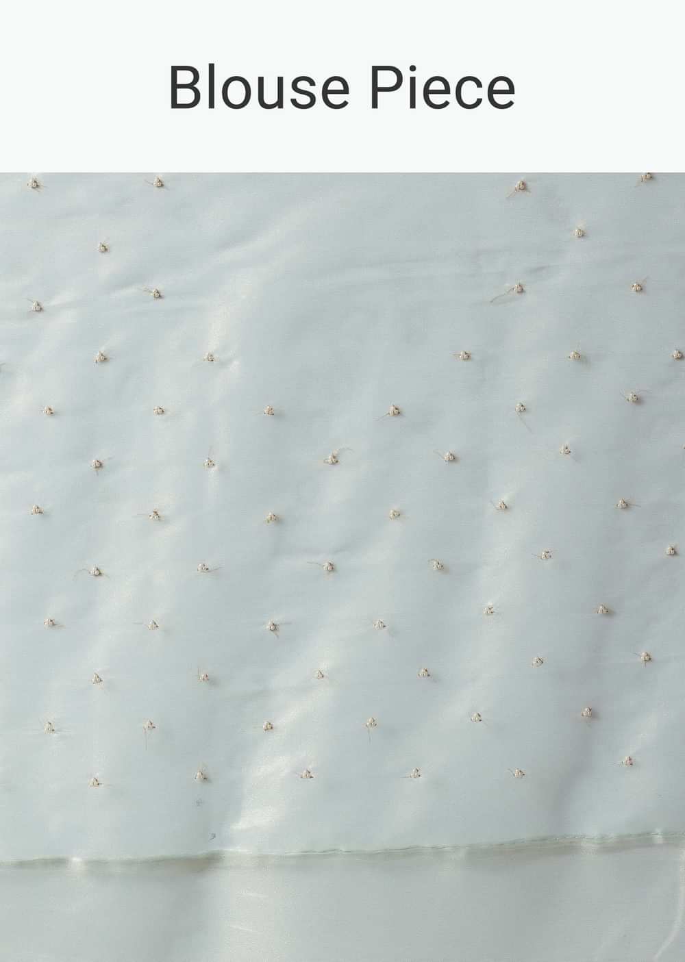 Pista Green Foil Saree In Tissue With Cut Dana Embroidered Borders