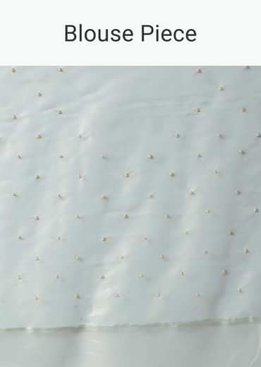 Pista Green Foil Saree In Tissue With Cut Dana Embroidered Borders