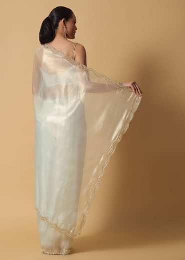 Pista Green Foil Saree In Tissue With Cut Dana Embroidered Borders