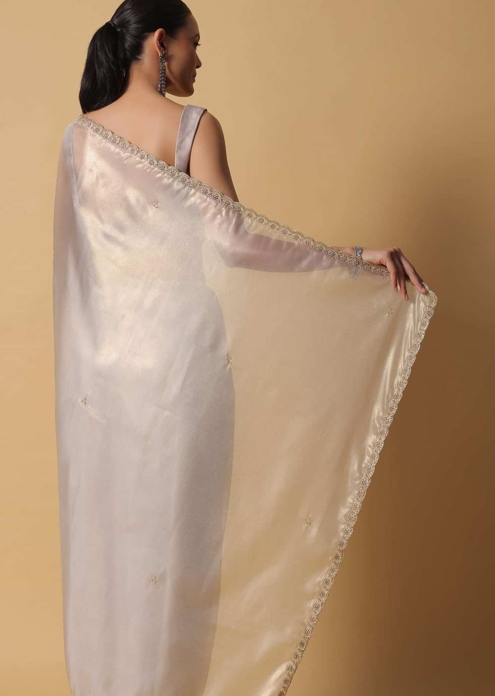 Powder Green Foil Saree In Tissue With Cut Dana Embroidered Borders