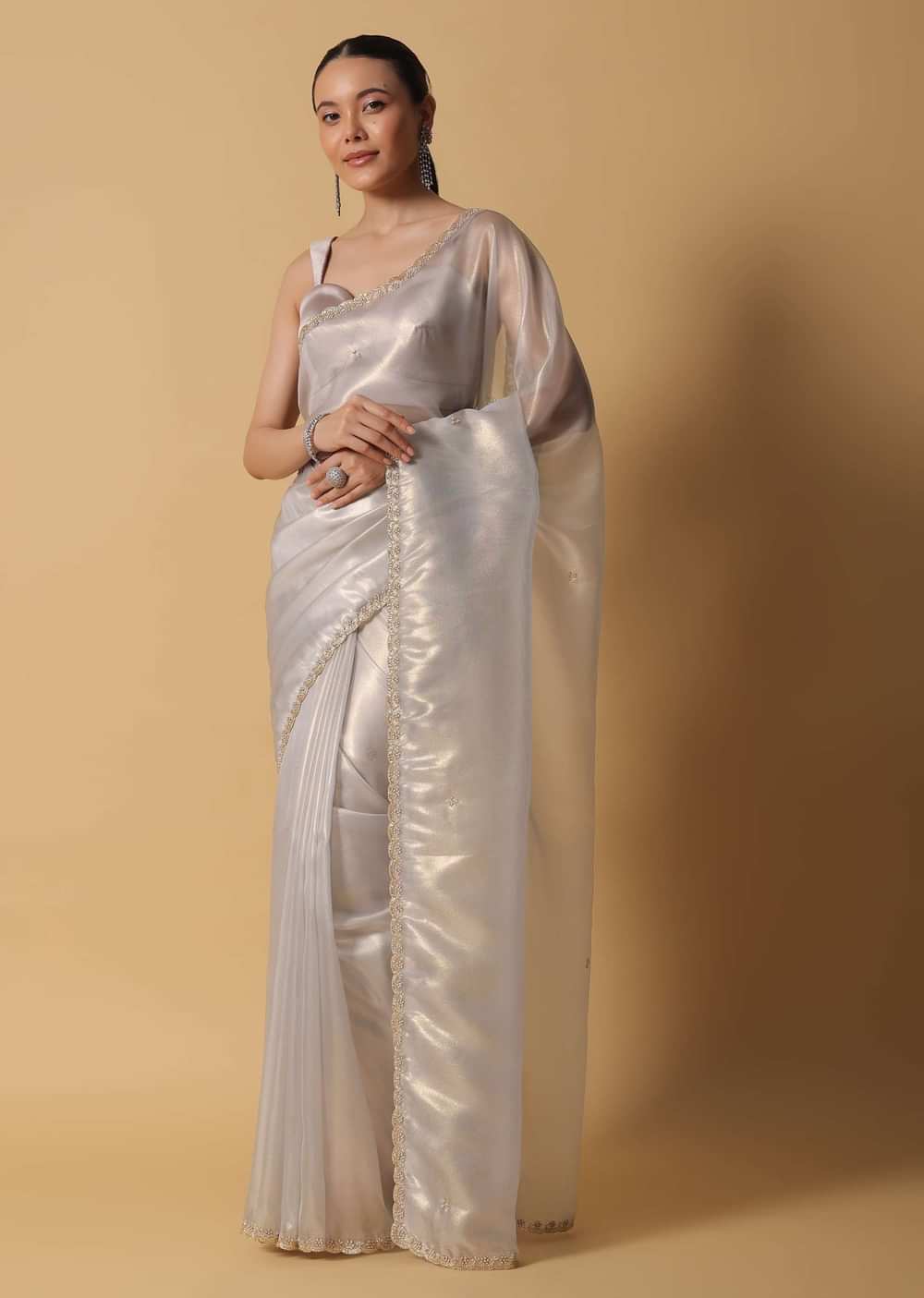 Powder Green Foil Saree In Tissue With Cut Dana Embroidered Borders