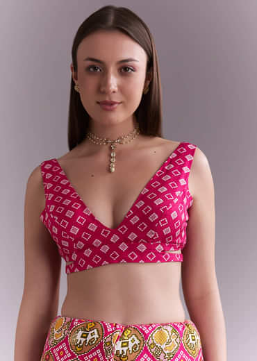 Rani Pink Silk Saree With Bandhani Work And Elephant Motifs