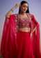 Red Organza Crop Top And Skirt Set With Embroidered Cape