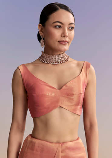 Rust Tissue Embroidered Saree With Cutdana And Stone Work