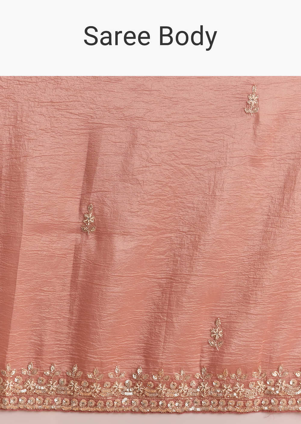 Rust Tissue Saree With Butti And Border Embroidery